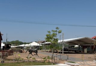 Agrotec 2026 transforma Madeira-Mamoré em vitrine do campo rondoniense