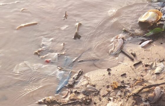 MISTÉRIO: Crânio humano é encontrado por populares na beira de rio no Amazonas