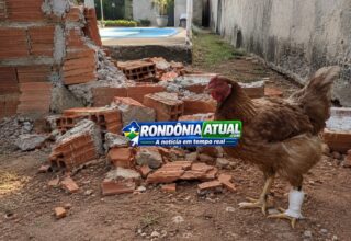 🐔 Confusão por muro termina com galinha ferida e ameaça em Ouro Preto do Oeste